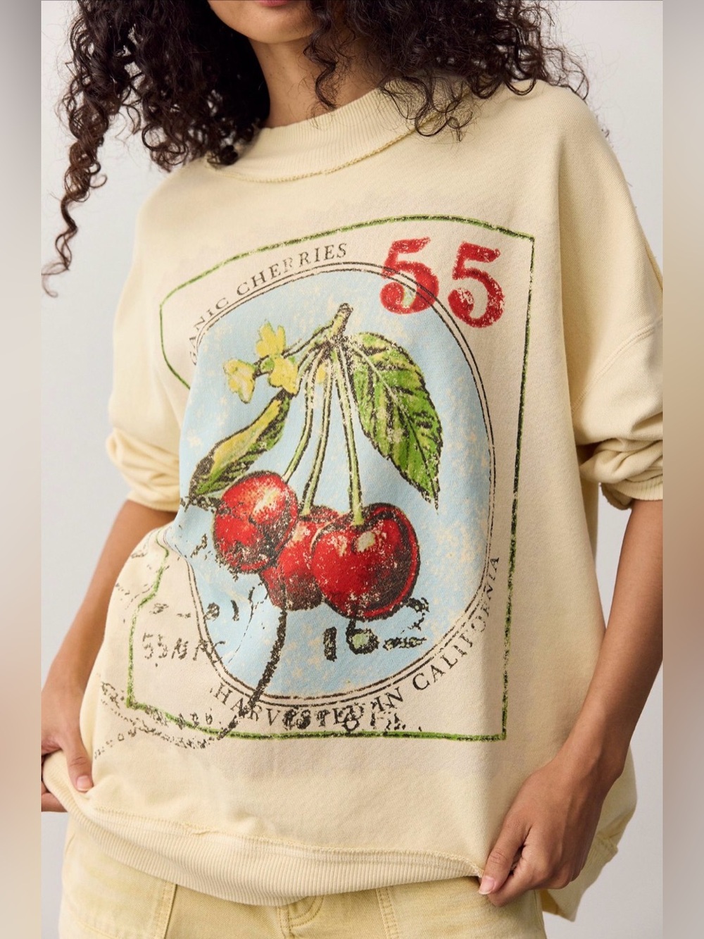 Free People We The Free Palm Spring Graphic Pullover Sweater
